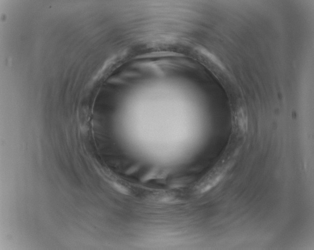 X0000076041012200610152107
