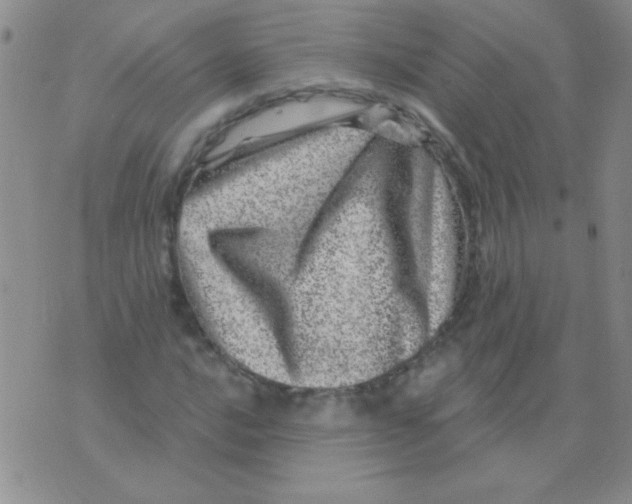 X0000076041016200610152107