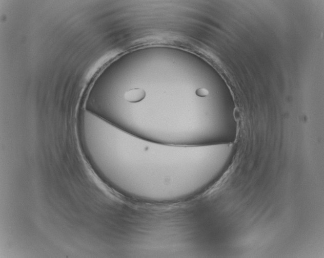 X0000076041034200610152107