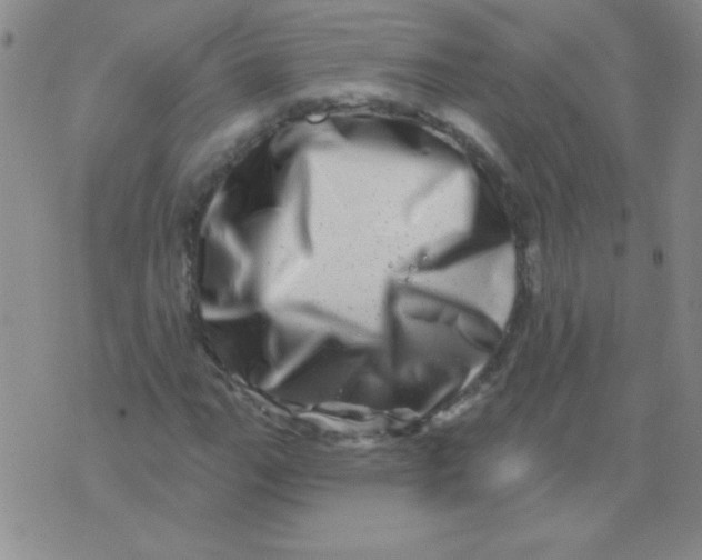 X0000076041111200610152105