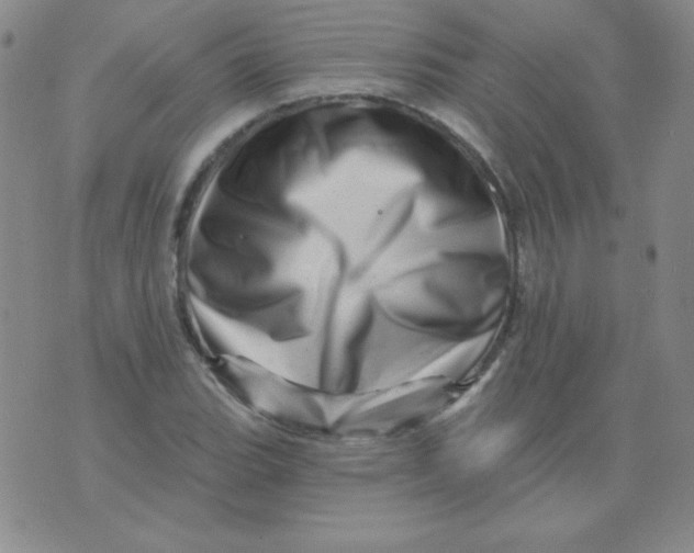 X0000076041119200610152105