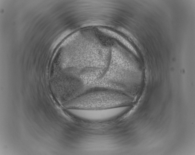 X0000076041129200610152105
