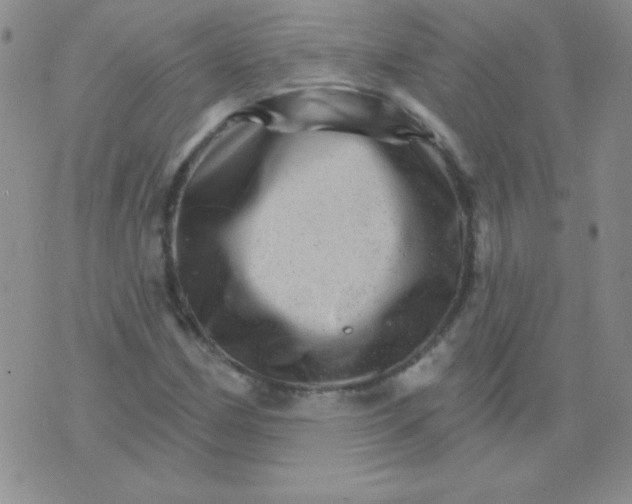 X0000076041162200610152105