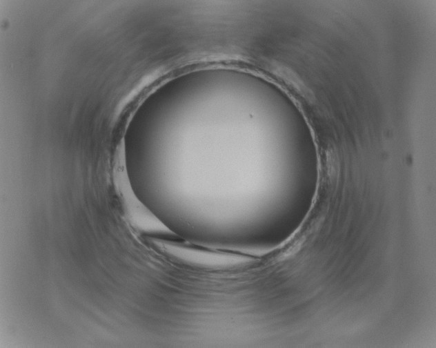 X0000076041165200610152105