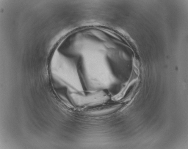 X0000076041167200610152105