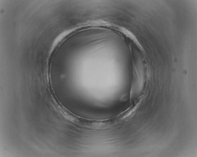 X0000076041176200610152105