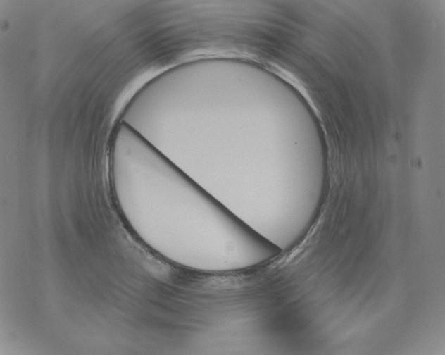 X0000076041179200610152105