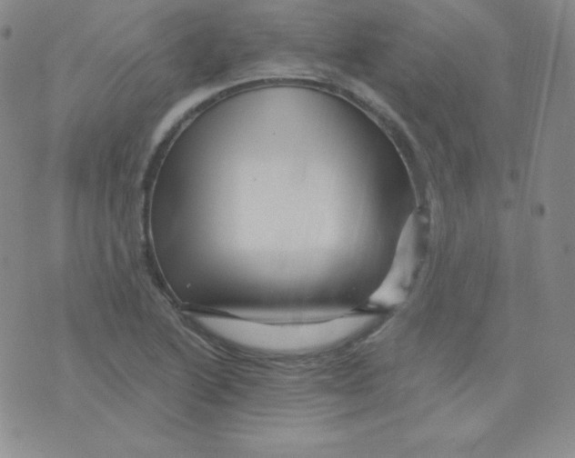X0000076041222200610152104