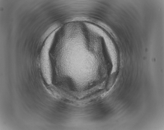 X0000076041241200610152104