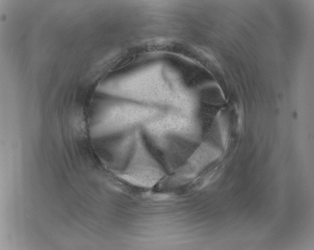 X0000076041252200610152103