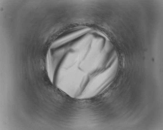 X0000076041253200610152103