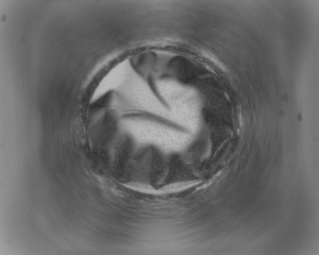 X0000076041256200610152103
