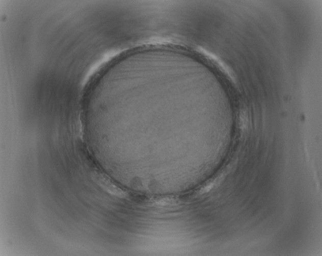 X0000076041262200610152103