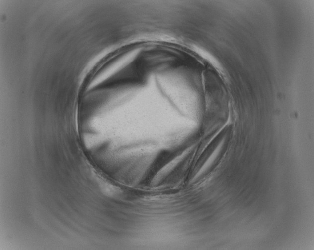 X0000076041272200610152103