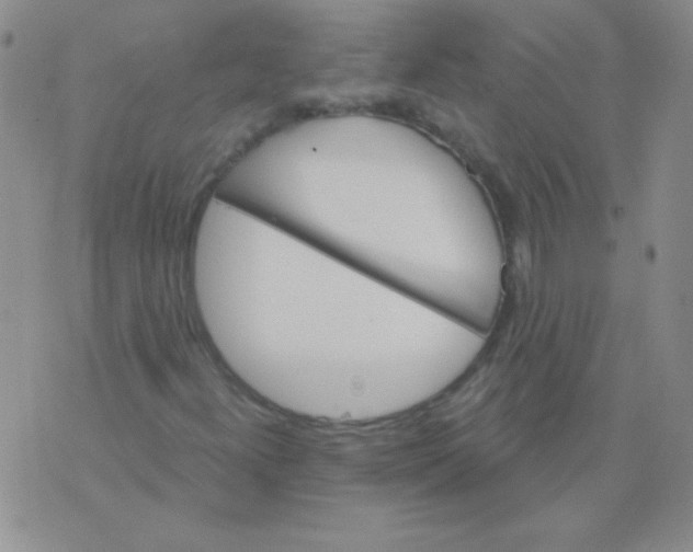 X0000076041300200610152102