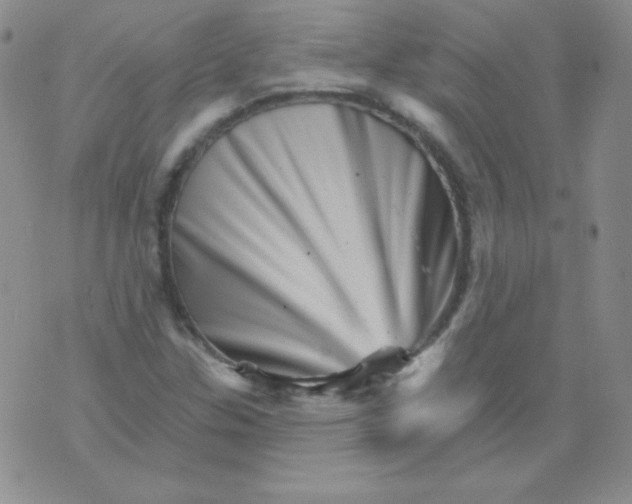 X0000076041307200610152102