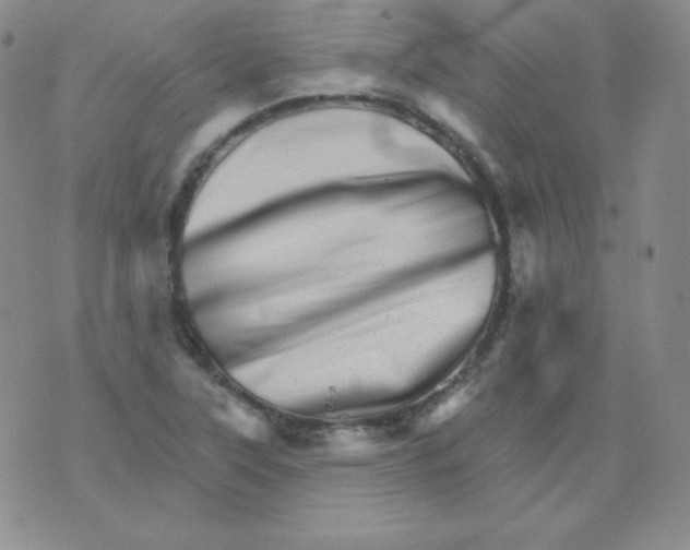 X0000076041315200610152102