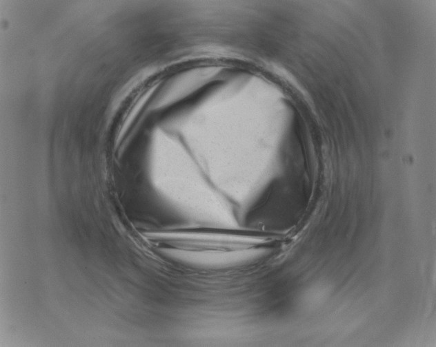 X0000076041318200610152102