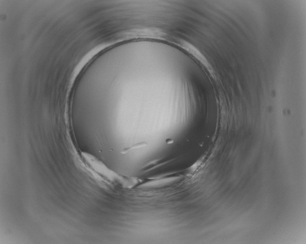 X0000076041339200610152103