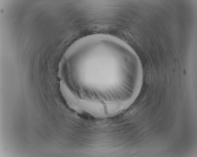 X0000076041345200610152102