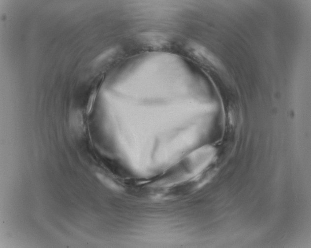 X0000076041347200610152102