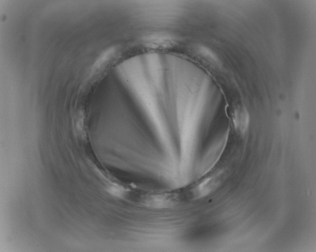 X0000076041396200610152100