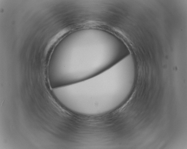 X0000076041410200610152101