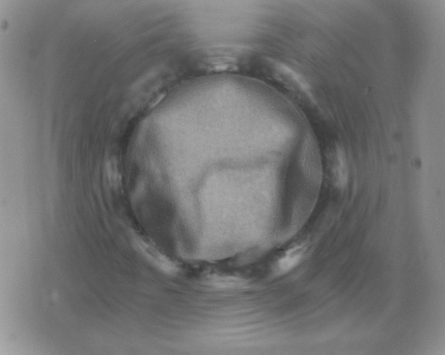 X0000076041442200610152100