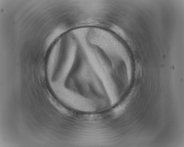 X0000076041458200610152100