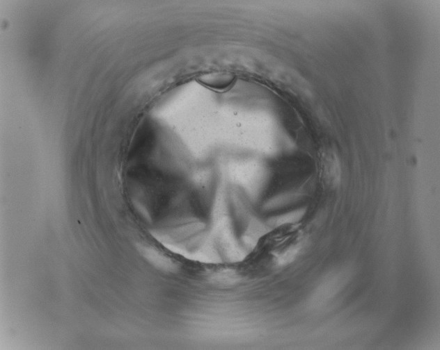 X0000076041489200610152059