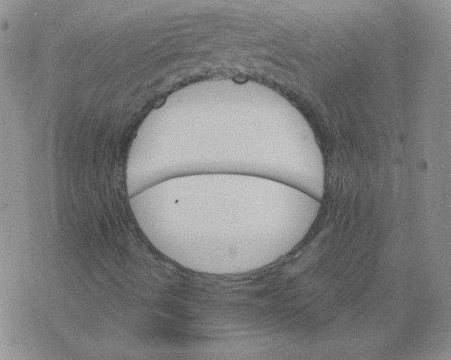 X0000076041490200610152059