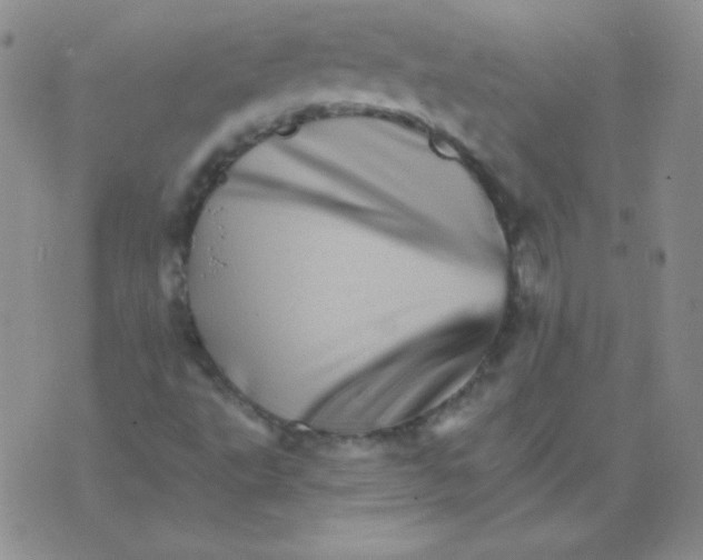 X0000076041495200610152059