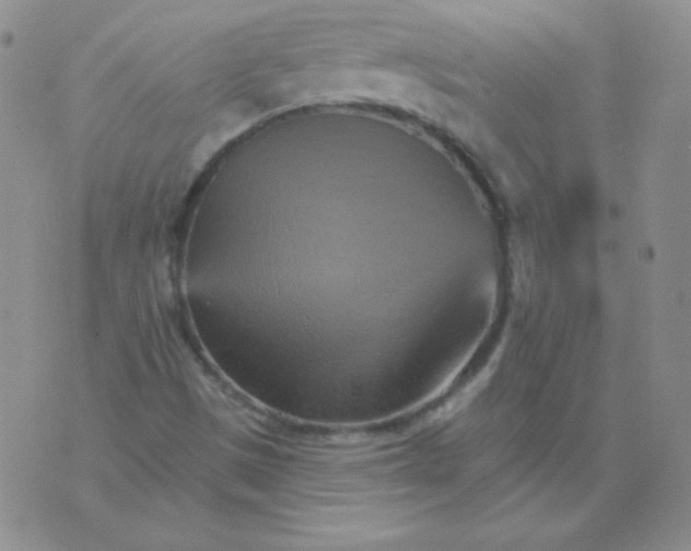 X0000076041497200610152059