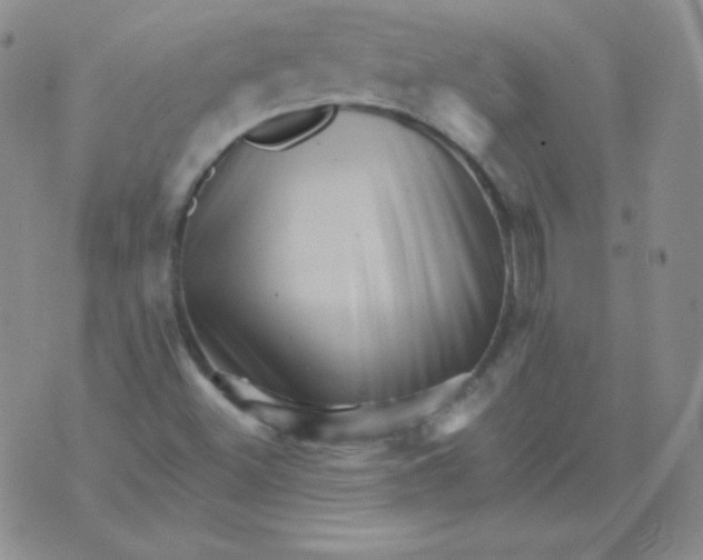 X0000076041500200610152059