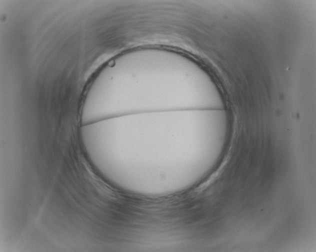 X0000076041505200610152059