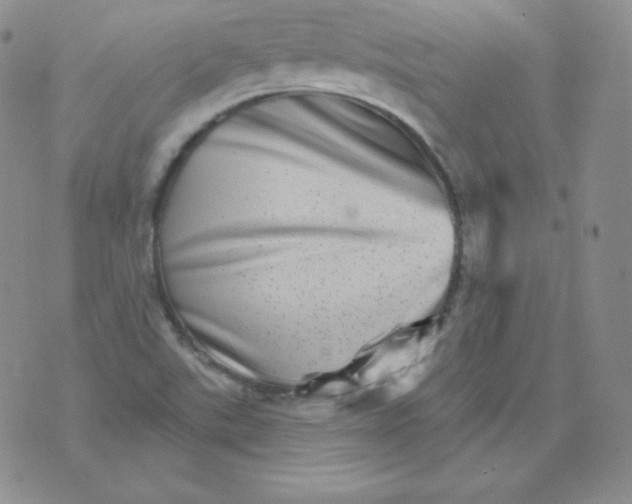 X0000076041507200610152059