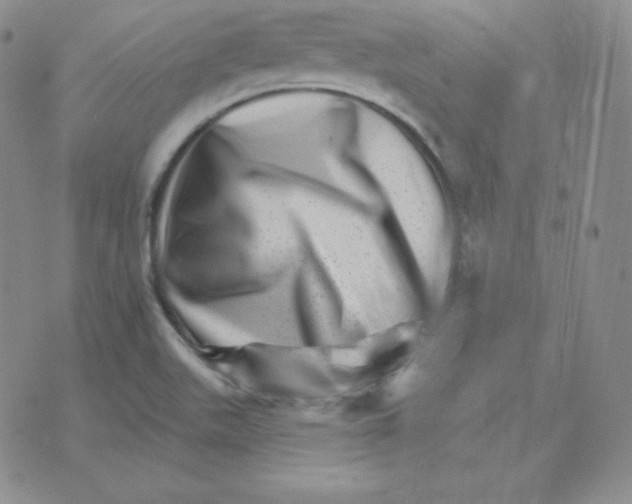 X0000076041511200610152059