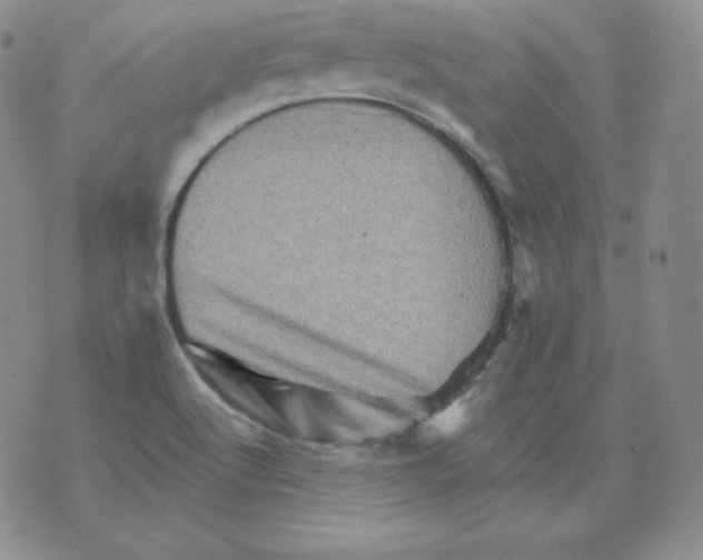 X0000076041512200610152059