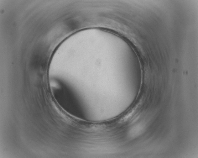 X0000076041513200610152059