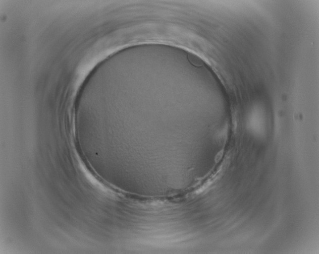 X0000076041515200610152059