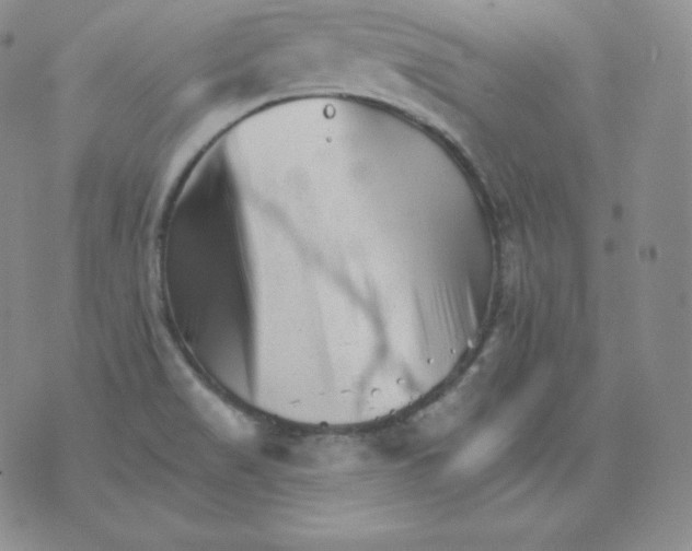 X0000076041517200610152059