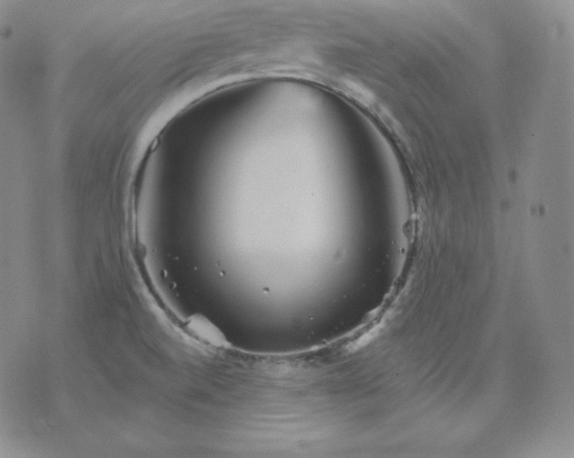 X0000076041520200610152059