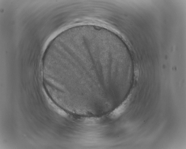 X0000076041522200610152059