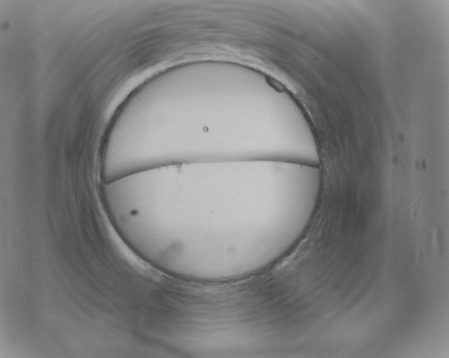 X0000076041523200610152059