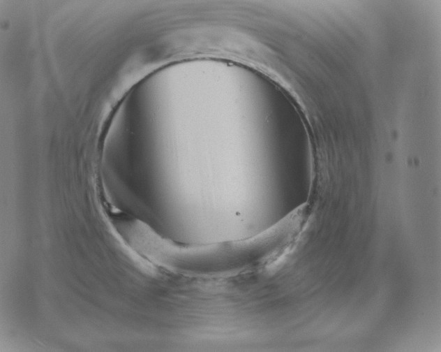 X0000076041525200610152059