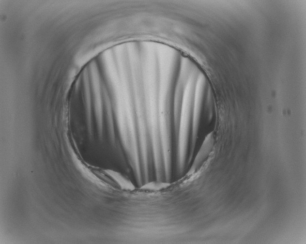 X0000076041526200610152059