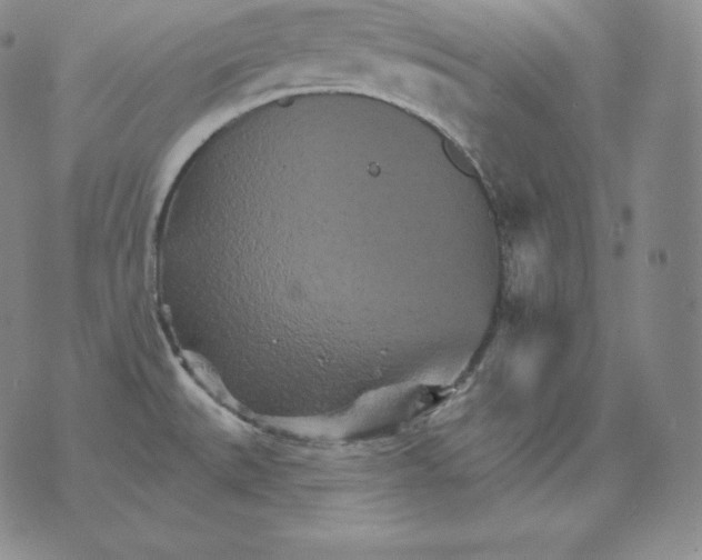 X0000076041527200610152059