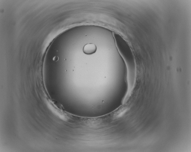 X0000076041530200610152059