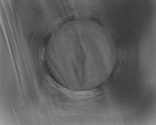 X0000076040038200610201905