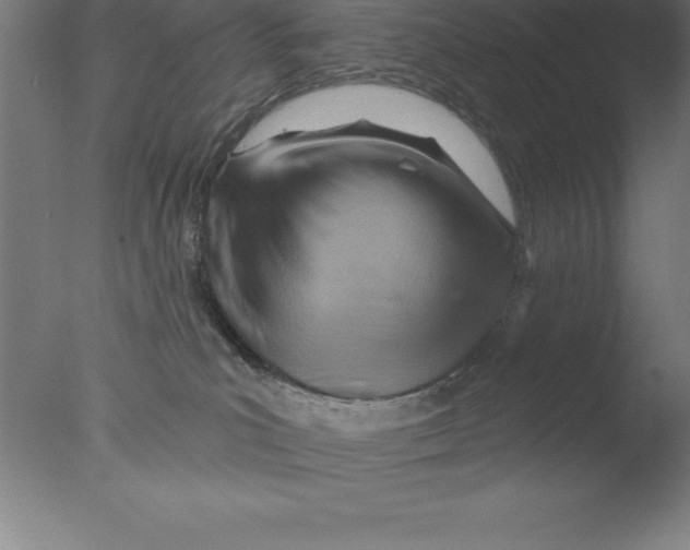 X0000076040039200610201905